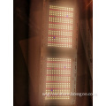 /msite/products/detail/productid/57983552/id/679434.html